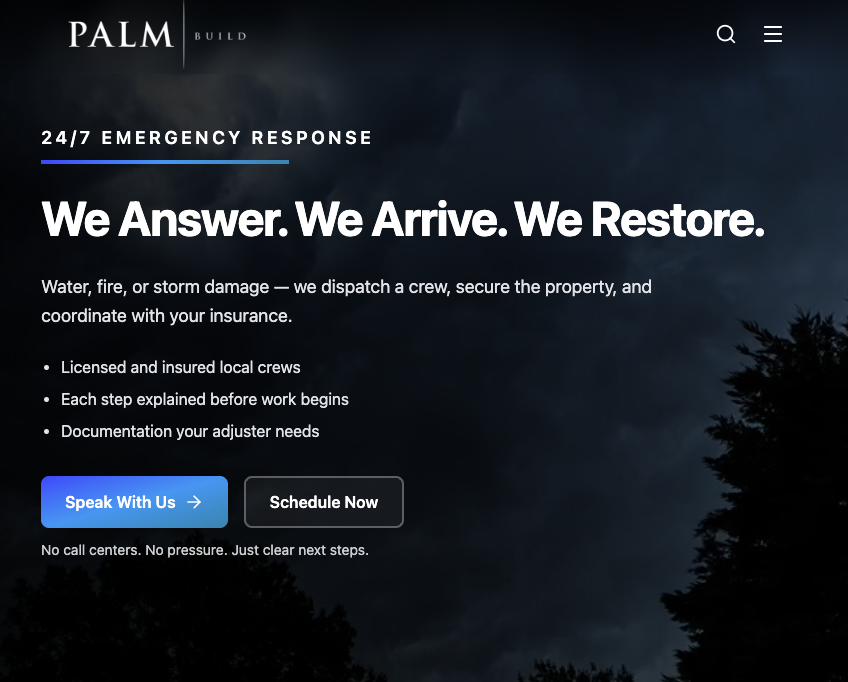 Palm Build Website screenshot